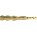 Baby Bass