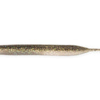 Crystal Shad