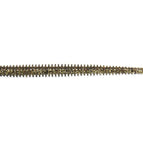 Gold Flash Minnow