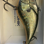 Blue Gill - F
