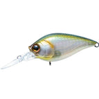 Green Gizzard Shad