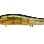 GG Perch