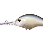 P23 - Tasty Shad