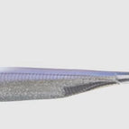 Sight Magic Shad